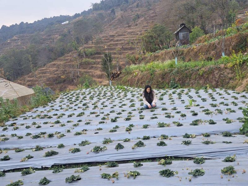 Prakriti Resort and Organic farm Pvt.Ltd.