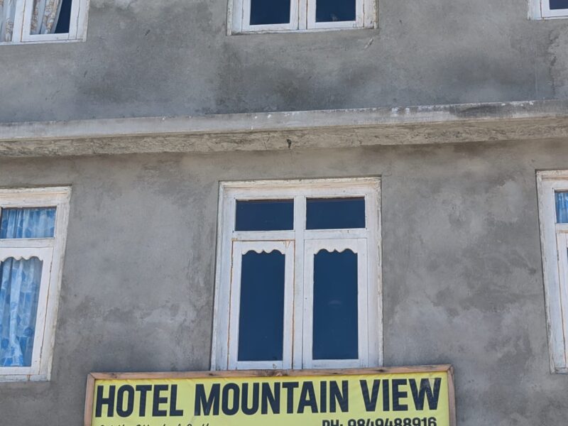 Hotel Mountain View